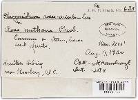 Image Associated With the Occurrence