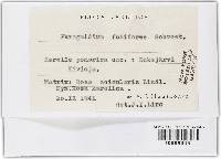 Image Associated With the Occurrence