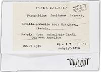 Image Associated With the Occurrence