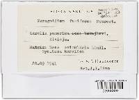 Image Associated With the Occurrence