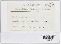 Image Associated With the Occurrence