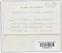 Image Associated With the Occurrence