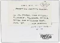 Image Associated With the Occurrence