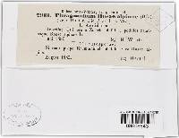 Image Associated With the Occurrence