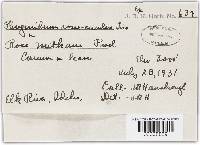 Image Associated With the Occurrence