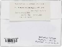 Image Associated With the Occurrence