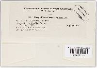 Image Associated With the Occurrence