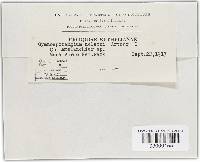 Image Associated With the Occurrence