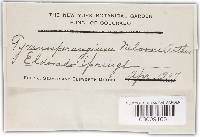 Image Associated With the Occurrence