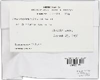 Image Associated With the Occurrence