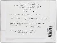 Image Associated With the Occurrence