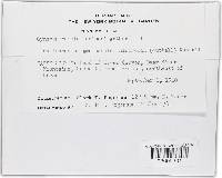 Image Associated With the Occurrence