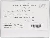 Image Associated With the Occurrence