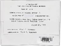 Image Associated With the Occurrence