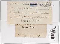 Image Associated With the Occurrence