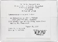 Image Associated With the Occurrence