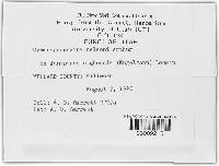 Image Associated With the Occurrence