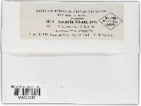 Image Associated With the Occurrence