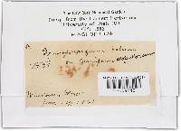 Image Associated With the Occurrence