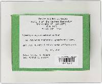 Image Associated With the Occurrence