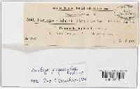 Image Associated With the Occurrence