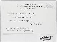 Ustilago hordei image