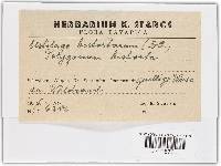 Image Associated With the Occurrence