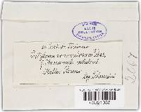 Image Associated With the Occurrence