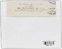 Tilletia corona image