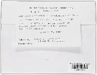 Image Associated With the Occurrence