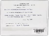 Image Associated With the Occurrence