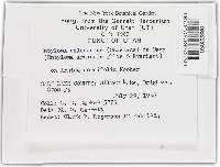 Image Associated With the Occurrence