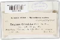 Image Associated With the Occurrence