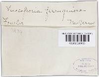 Image Associated With the Occurrence