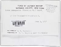 Image Associated With the Occurrence