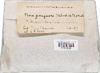 Image Associated With the Occurrence