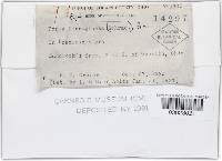 Image Associated With the Occurrence