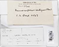 Image Associated With the Occurrence