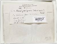 Image Associated With the Occurrence