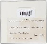 Image Associated With the Occurrence