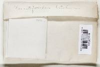 Image Associated With the Occurrence