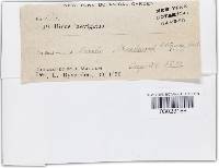 Image Associated With the Occurrence