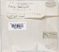 Image Associated With the Occurrence