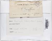 Image Associated With the Occurrence