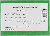 Image Associated With the Occurrence