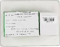 Phellinus laevigatus image