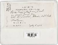 Image Associated With the Occurrence