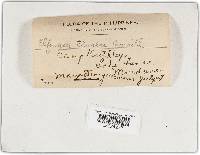 Image Associated With the Occurrence