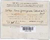 Image Associated With the Occurrence