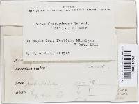 Image Associated With the Occurrence